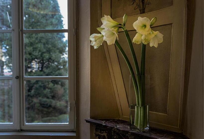 اتاق لوکس, Palazzo Guicciardini