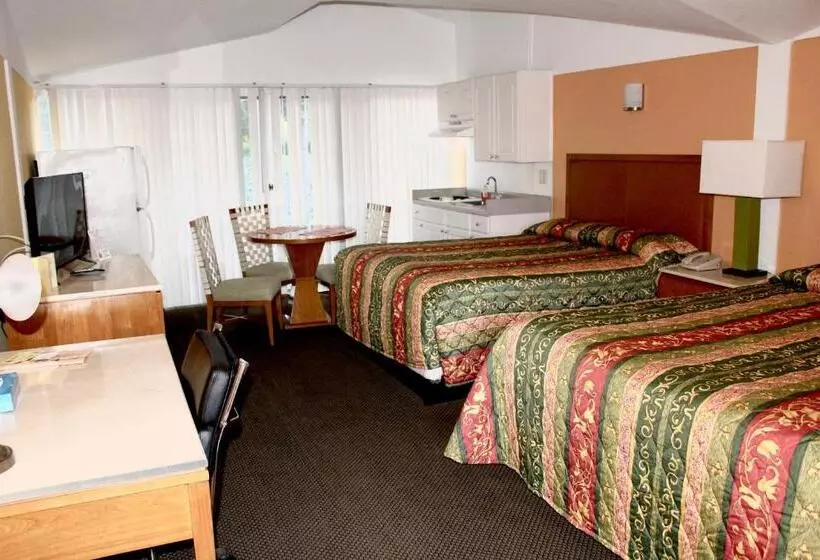 デラックスルーム, Warm Mineral Springs Motel