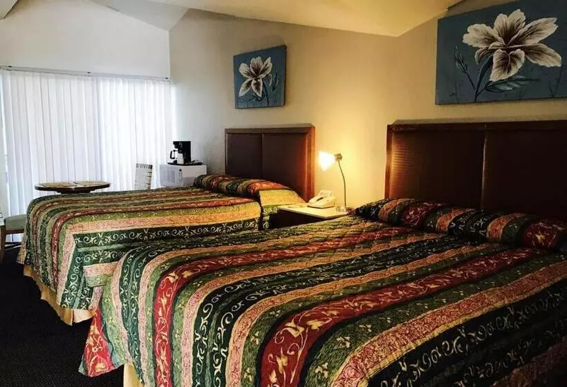 デラックスルーム, Warm Mineral Springs Motel