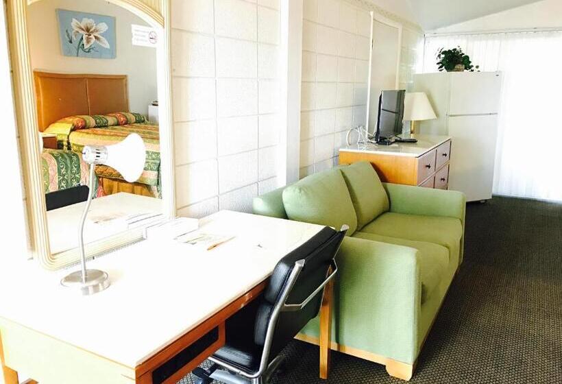 Номер Deluxe, Warm Mineral Springs Motel