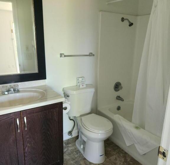 غرفة قياسية سرير كينج, The View Motel