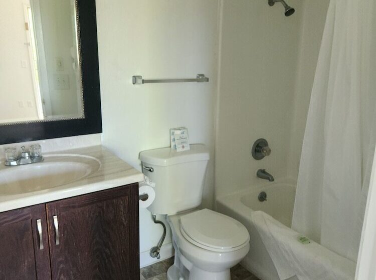 غرفة قياسية سرير كينج, The View Motel