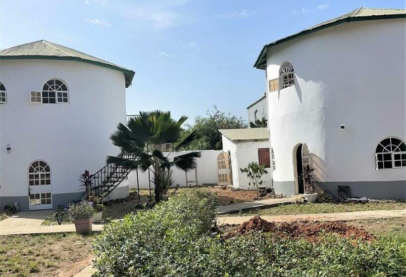 اتاق استاندارد, Afro Garden