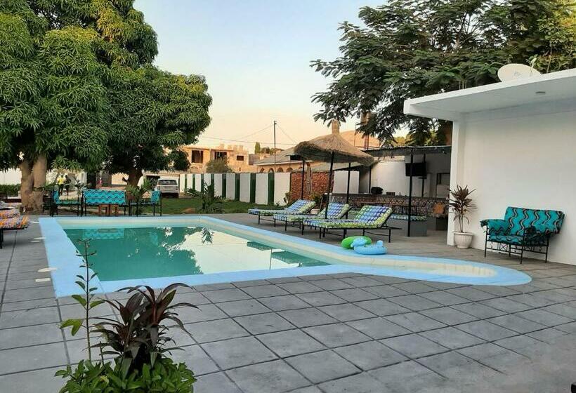 اتاق استاندارد, Afro Garden