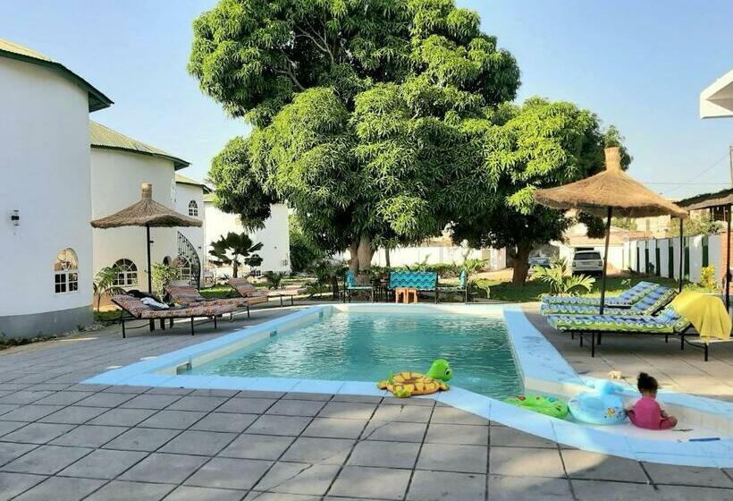 استودیوی استاندارد, Afro Garden