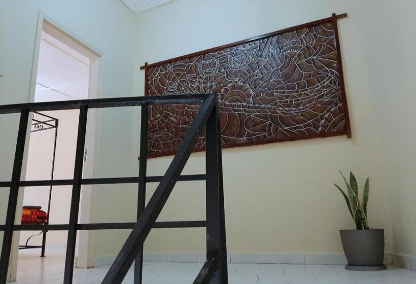 اتاق خانوادگی, Afro Garden