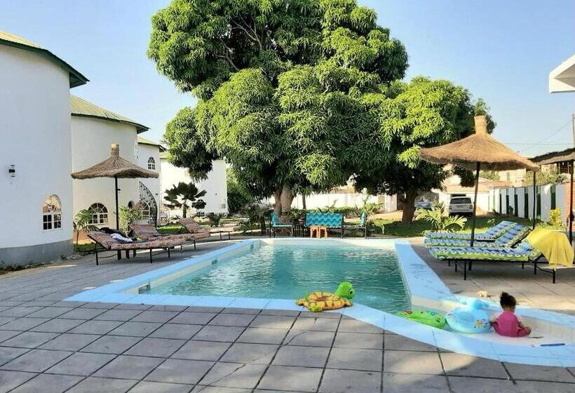 اتاق اکونومی, Afro Garden