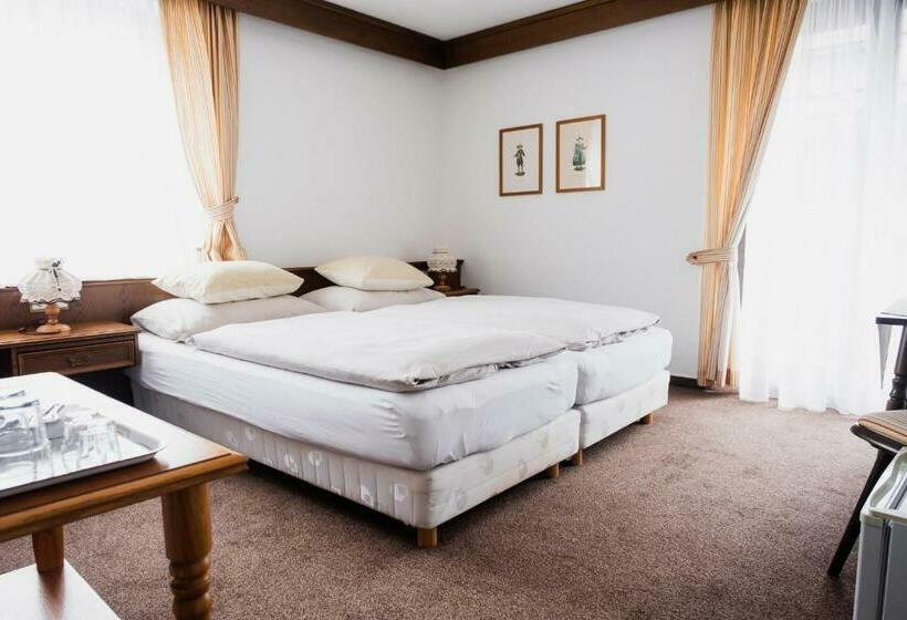 اتاق استاندارد با بالکن, Pension Baranek   Baranek Resorts