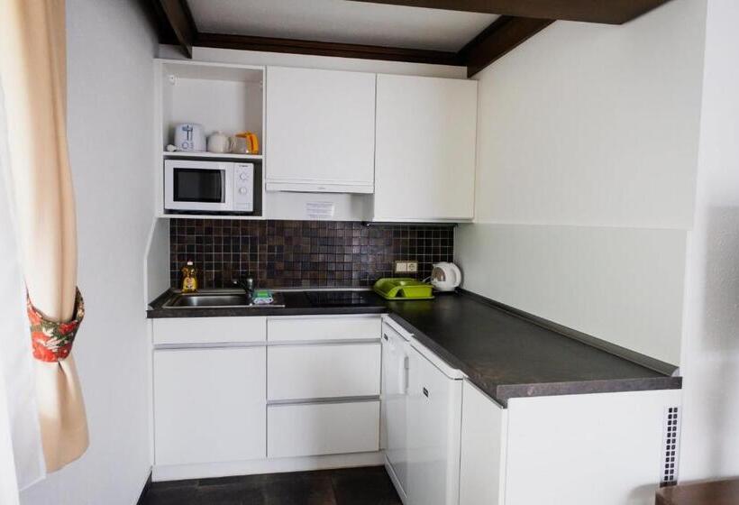 استودیو استاندارد با بالکن, Pension Baranek   Baranek Resorts