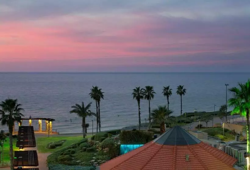 海の見えるエクゼクティブルーム, David Tower Hotel Netanya By Prima Hotels 16 Plus