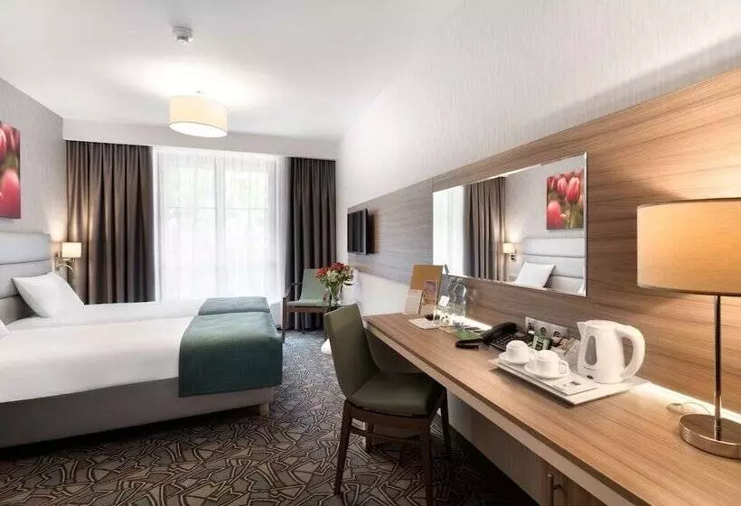 スタンダードルーム, Golden Tulip Krakow Kazimierz