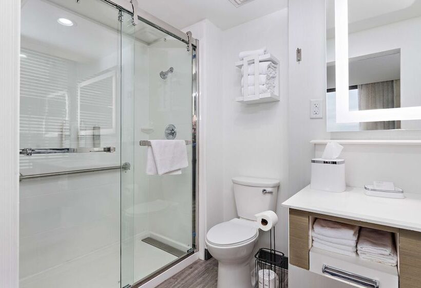 غرفة قياسية سرير كينج, Hampton Inn Kansas City/downtown Financial District