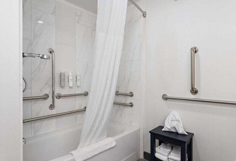 غرفة قياسية سرير كينج لذوى الإحتياجات الخاصة, Hampton Inn Kansas City/downtown Financial District