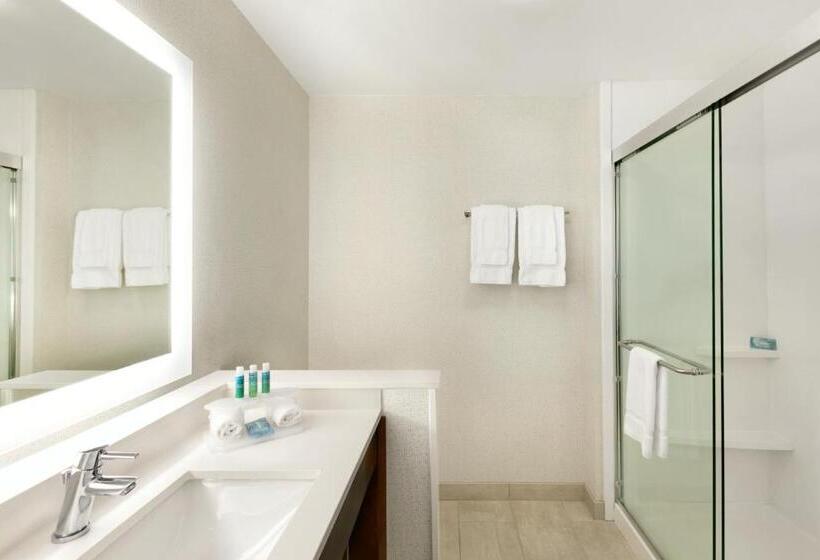 Номер Стандарт Кровать Кинг Адаптированный для Инвалидов, Holiday Inn Express & Suites Salisbury, An Ihg