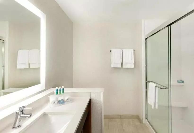 身障者適用キングサイズベッドルーム, Holiday Inn Express & Suites Salisbury, An Ihg