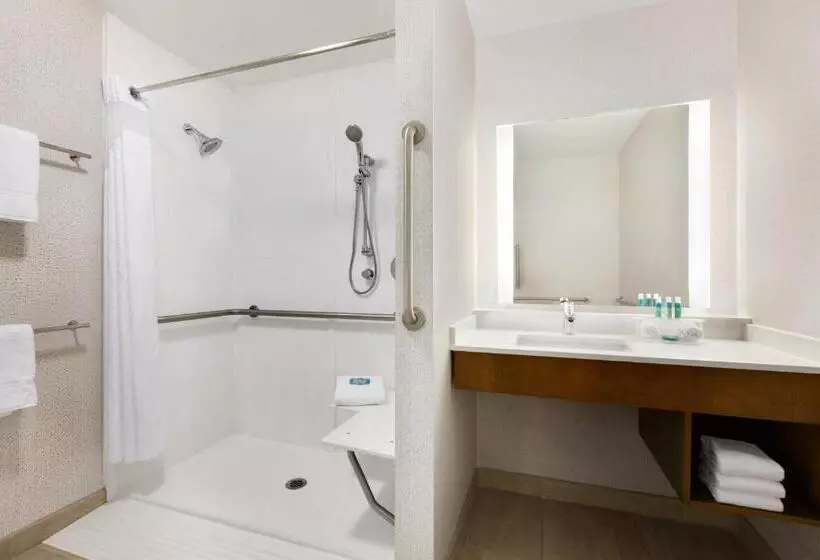 身障者適用キングサイズベッドルーム, Holiday Inn Express & Suites Salisbury, An Ihg