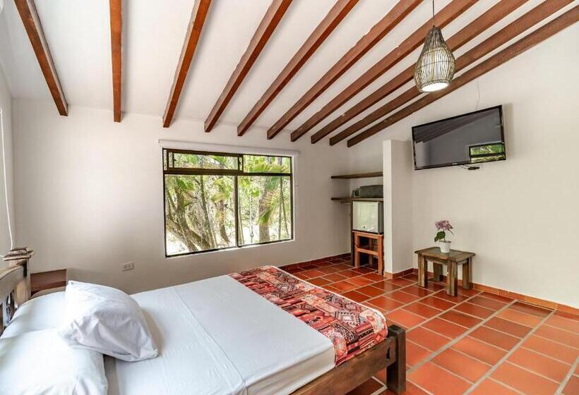 스탠다드 룸, Quimbaya