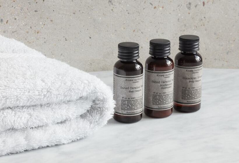 适合残疾人士使用的套间, Leman Locke