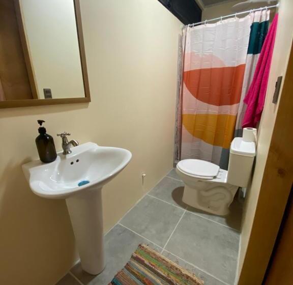 غرفة قياسية, Casitas Jungla