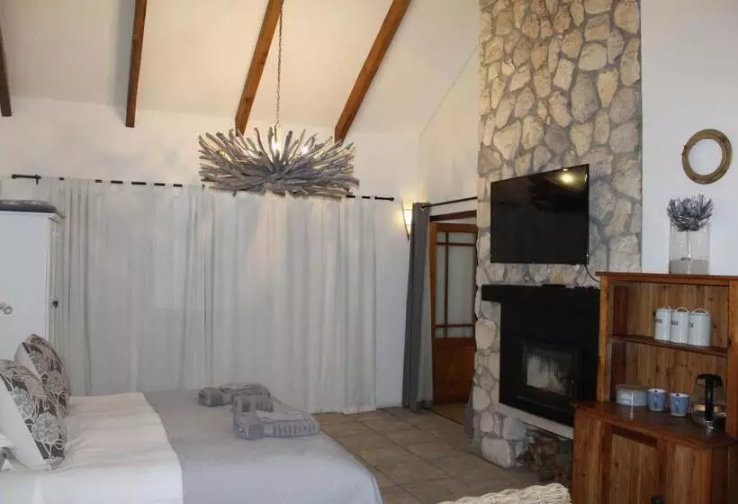 Talo 4 Makuuhuonetta, Kleinzee Oceanfront Guest House