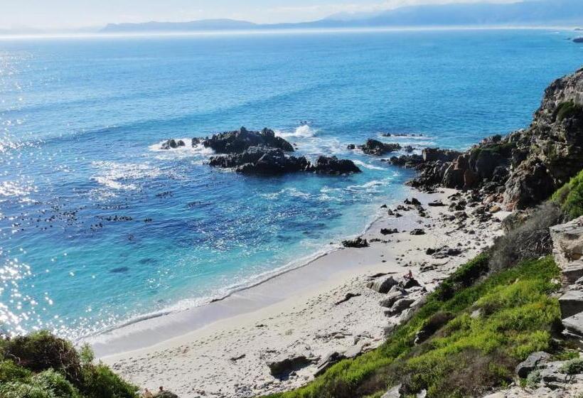 בית, 4 חדרי שינה, Kleinzee Oceanfront Guest House