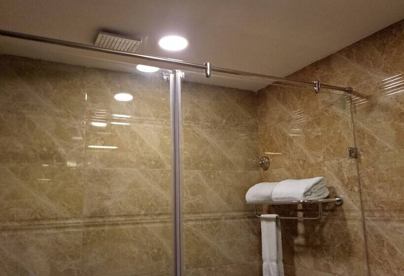 סוויטה נשיאותית, Patliputra Continental