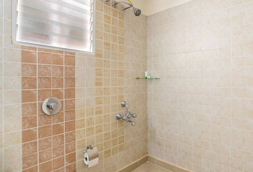 スタンダードルーム, Treebo Pappilon Palace Pvs Circle