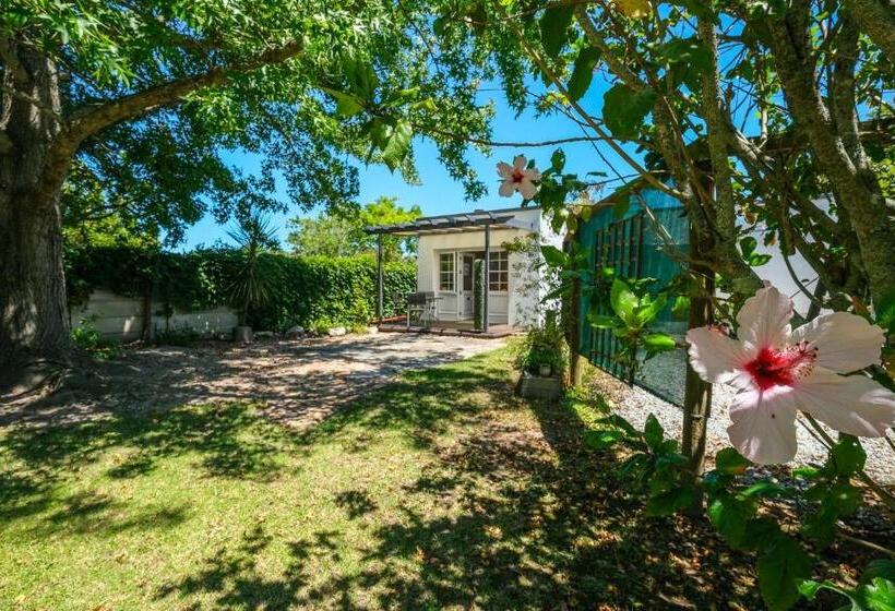 标准工作室, Oude Berg Guesthouse 10 Caledon Street