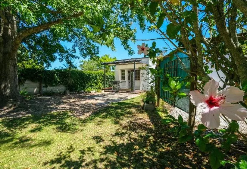 استودیوی استاندارد, Oude Berg Guesthouse 10 Caledon Street