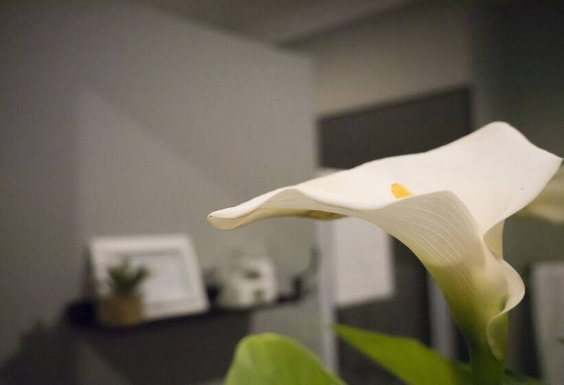 Номер Deluxe Кровать Кинг, Roseroc Boutique Guest House