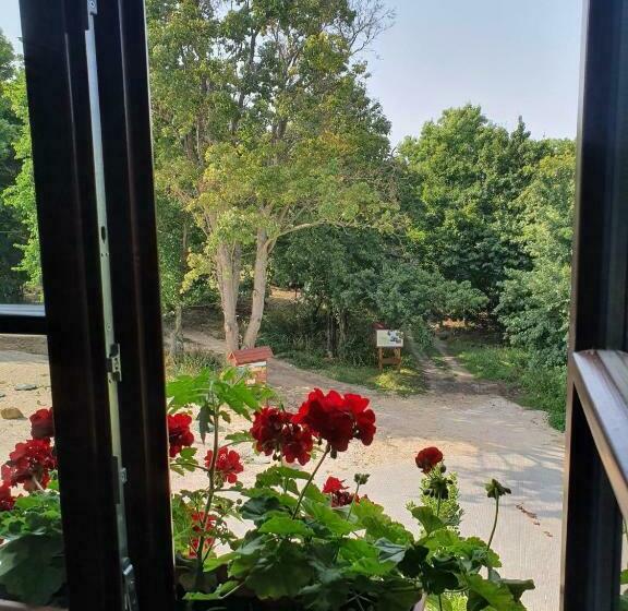 Номер Стандарт, Eco Ribellium