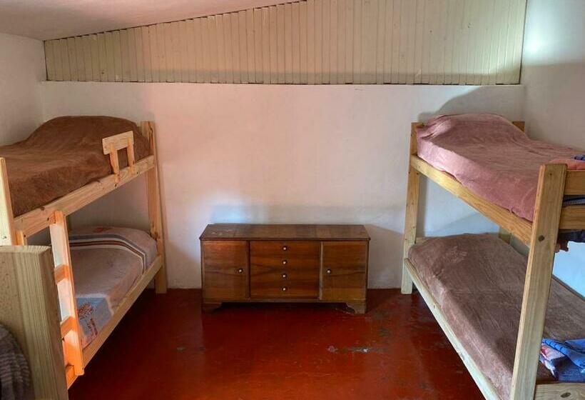 غرفة رباعية اقتصادية مع حمام مشترك, Alojamiento Hostel Lodeolga La Florida