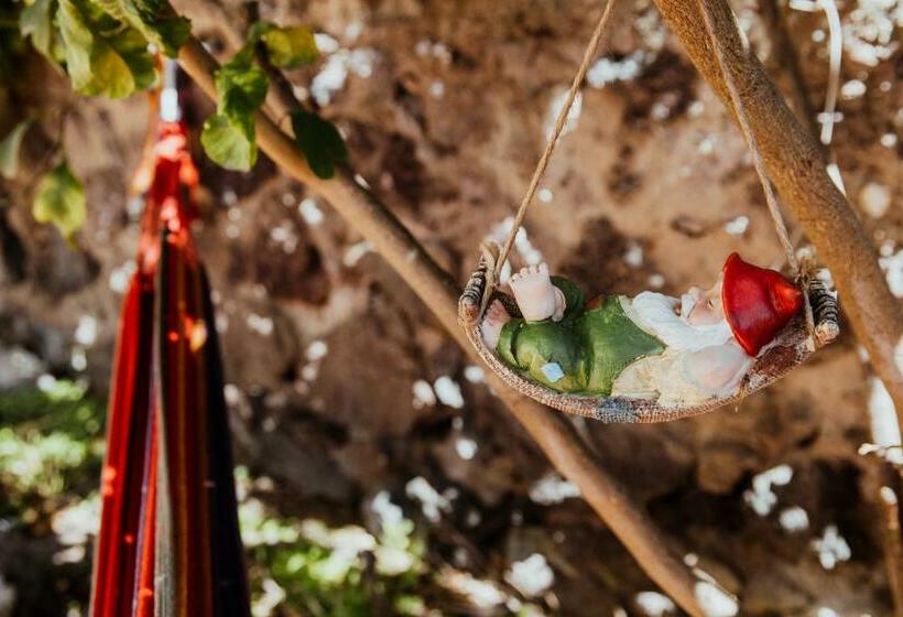 Номер Стандарт Вид на Сад, Lemon Tree Rooms