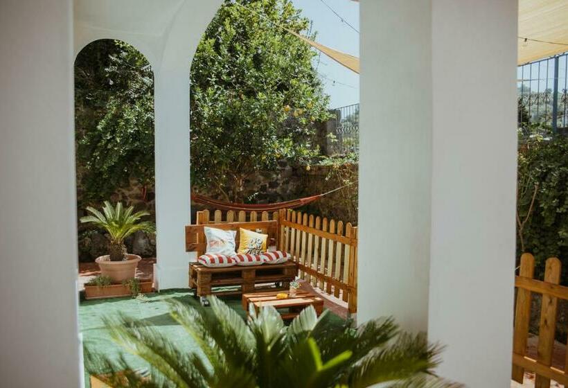 Номер Стандарт Вид на Сад, Lemon Tree Rooms