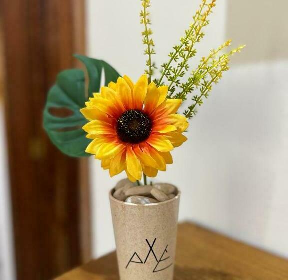 חדר סופריור, Pousada Oceano Atlântico