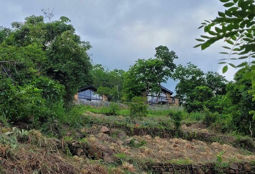 בקתת חדר, Heaven Hides   Narangala