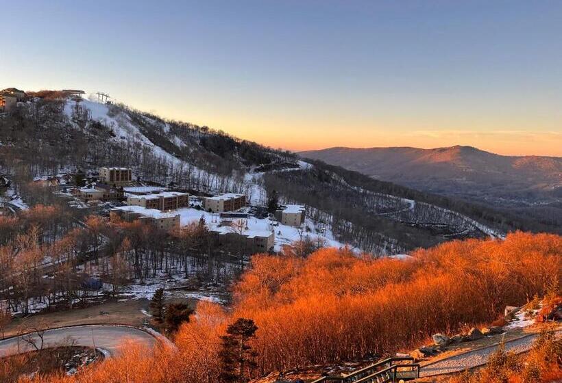 带1个卧室的豪华公寓, On Top Of The World At Sugar Top Resort