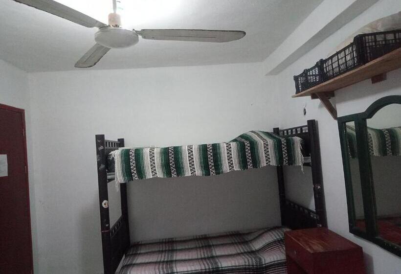 غرفة قياسية رباعية مطلة على الحديقة, Divershostalcozumel