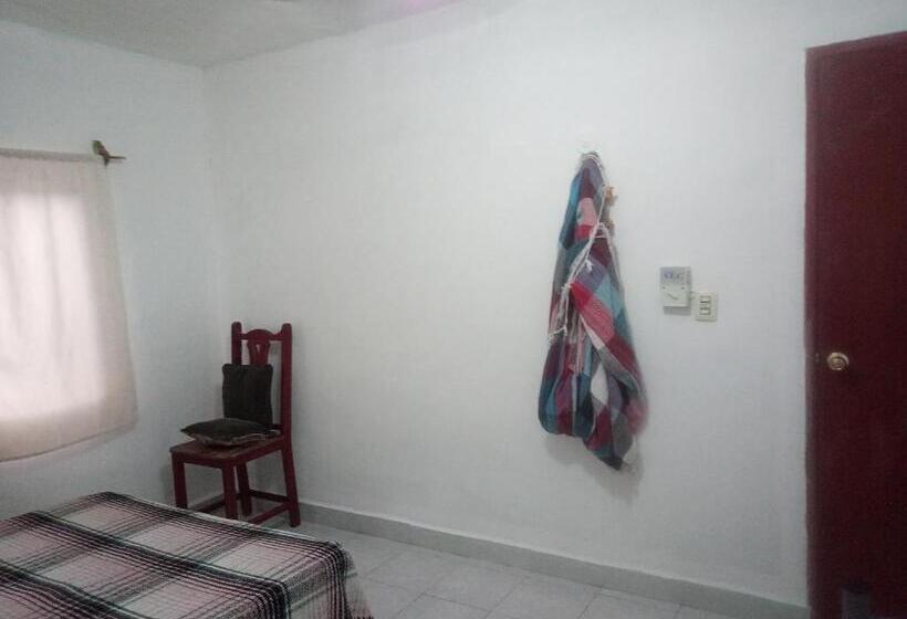 غرفة قياسية رباعية مطلة على الحديقة, Divershostalcozumel