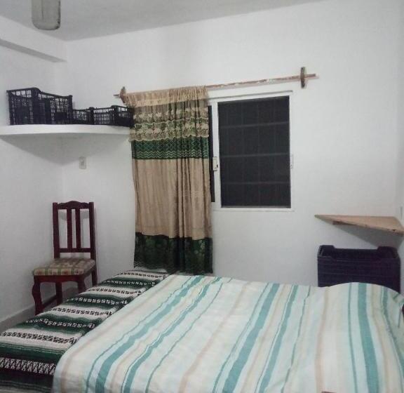 غرفة قياسية رباعية مطلة على الحديقة, Divershostalcozumel