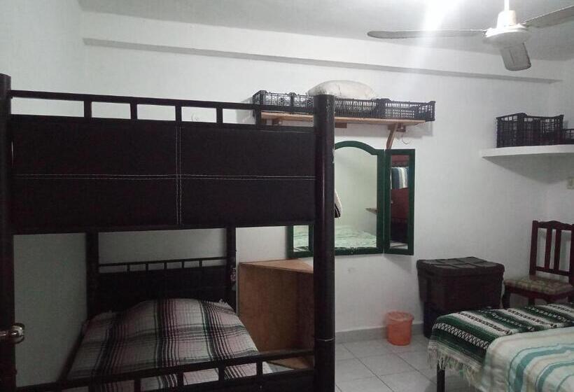 غرفة قياسية رباعية مطلة على الحديقة, Divershostalcozumel