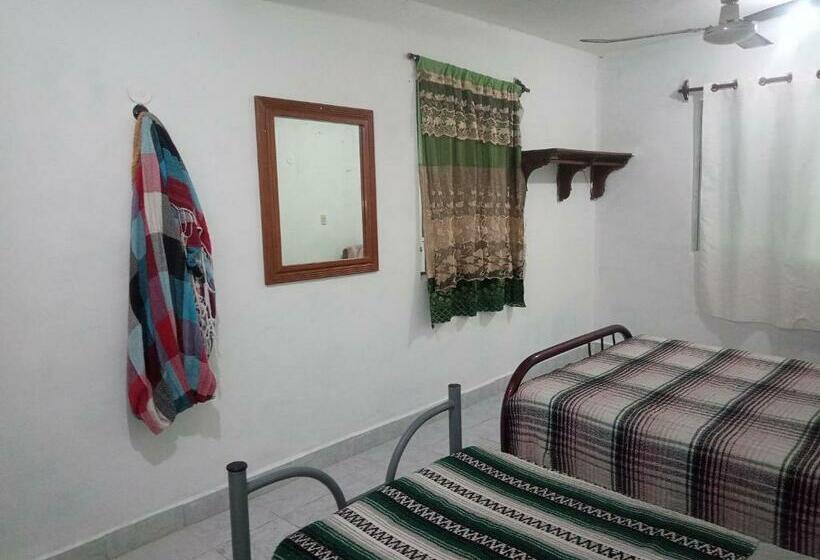 غرفة قياسية, Divershostalcozumel