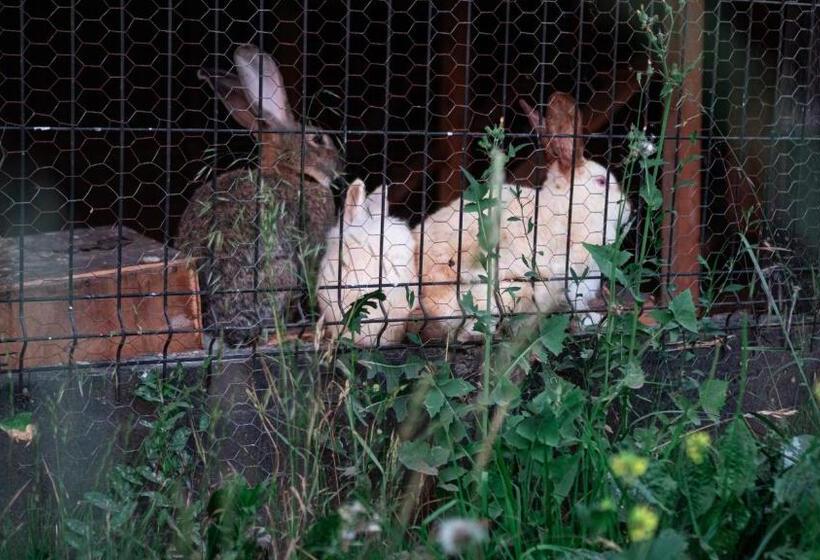 בקתת חדר, Pensiunea Fata Viilor