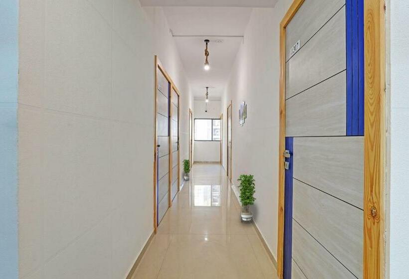 חדר דלוקס, Solitaire