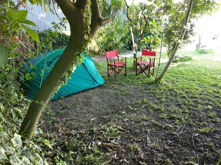 Standard Tent, Airporto Hostel