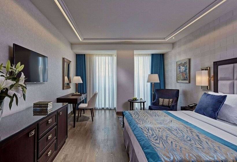 غرفة سوبيريور متصلة, Electra Metropolis