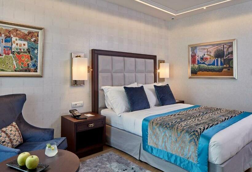 غرفة سوبيريور, Electra Metropolis