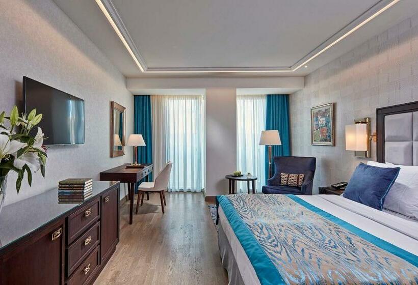 غرفة سوبيريور, Electra Metropolis