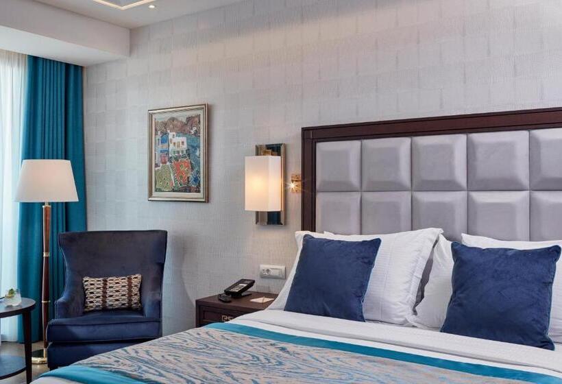 غرفة سوبيريور, Electra Metropolis