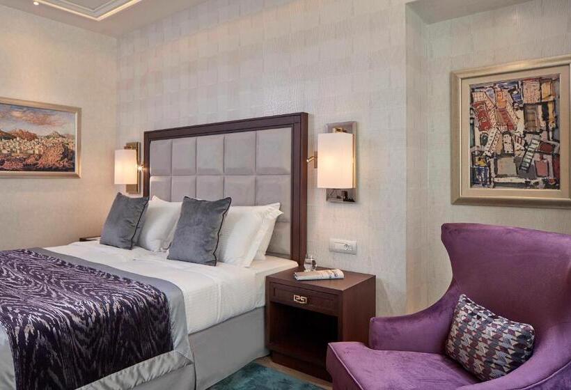 غرفة كلاسيكية, Electra Metropolis